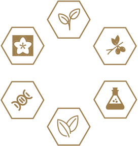 金沙(8087-js认证)娱场城-Officialwebsite