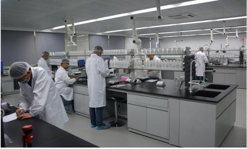 金沙8087国际?金沙8087获广东省工程手艺研究中心认定