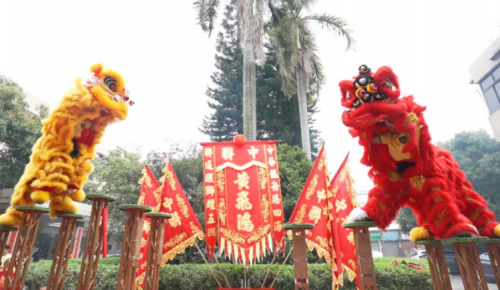 龙腾狮跃，，，，，共铸绚烂未来！